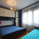 Najam 3 spavaće sobe stan od 98 m² u Primorsko-goranska
