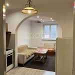 Pronajměte si 1 ložnic/e byt o rozloze 47 m² v Jáchymov