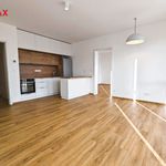 Rent 2 bedroom apartment of 50 m² in Rousinov