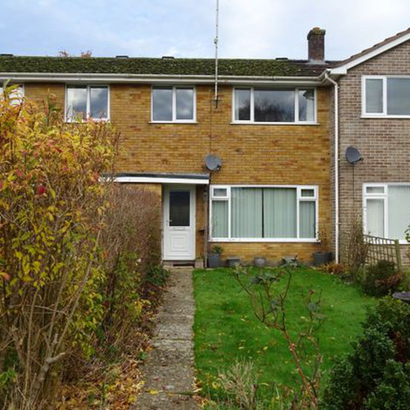 Terraced house to rent in Forestside Gardens, Ringwood BH24 North Poulner