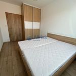 Rent 2 bedroom apartment of 60 m² in Boháňka