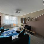 Rent 1 bedroom apartment of 48 m² in Bílina