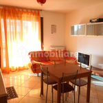 Rent 2 bedroom apartment of 74 m² in Montesilvano