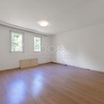 Rent 1 bedroom house of 170 m² in Kraslice