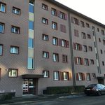 Rent 3 bedroom apartment of 60 m² in Pratteln