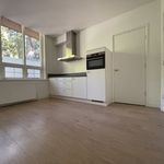 Rent 2 bedroom house of 93 m² in Apeldoorn