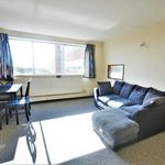 Rent 1 bedroom apartment in Hove