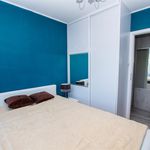 Rent 2 bedroom apartment of 39 m² in Toruń