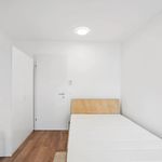 Miete 1 Schlafzimmer wohnung von 12 m² in Graz