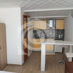 Najam 1 spavaće sobe stan od 30 m² u Dugobabe