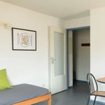 Rent 1 bedroom apartment of 26 m² in Lyon 03