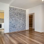 Rent 3 bedroom apartment of 61 m² in Decin