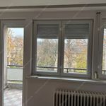 Rent 1 bedroom apartment of 33 m² in Budapest