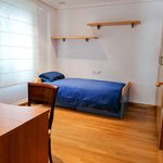 Alquilo 3 dormitorio apartamento de 95 m² en Castellón de la Plana