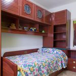 Rent 4 bedroom apartment in Cerdanyola del Vallès