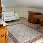 Rent 2 bedroom apartment of 40 m² in Grottaferrata