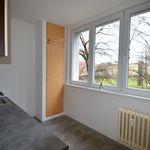 Rent 1 bedroom apartment of 37 m² in Ostrava