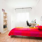 Rent a room of 120 m² in Torino