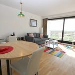 Rent 1 bedroom apartment of 33 m² in Nieuwpoort