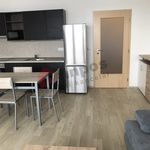 Rent 1 bedroom apartment in Vyškov