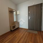 Rent 2 bedroom apartment of 54 m² in Kraków