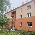 Rent 1 bedroom apartment of 39 m² in Ostrava
