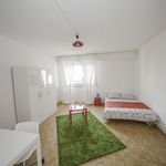 Rent 1 bedroom apartment of 20 m² in Strasbourg