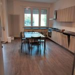 Rent 6 bedroom house of 20 m² in Cesena