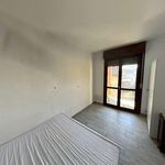 Rent 2 bedroom apartment of 50 m² in Moncalieri