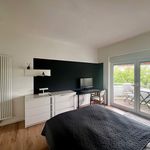 Miete 2 Schlafzimmer wohnung von 45 m² in Solingen
