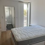 Rent 2 bedroom apartment of 92 m² in Porto