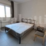 Rent 2 bedroom apartment of 50 m² in Siracusa