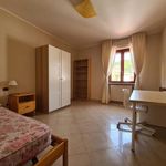 Rent 3 bedroom house of 125 m² in Catanzaro