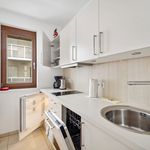 Rent 1 bedroom apartment of 55 m² in Dresden