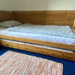 Rent a room of 20 m² in Praha