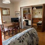 Rent 2 bedroom apartment of 50 m² in L'Aquila