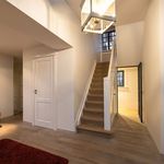 Rent 5 bedroom house of 5101 m² in Putte-Kapellen