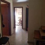 Affitto 1 camera appartamento di 80 m² in Caltanissetta