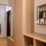 Rent 4 bedroom apartment in Gdańsk