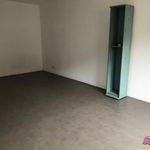 Rent 1 bedroom apartment of 29 m² in Lille