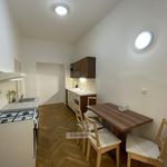 Rent 3 bedroom apartment of 55 m² in Prague