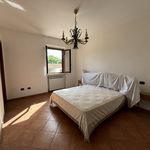 Affitto 2 camera appartamento di 71 m² in Terni