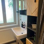 Rent 2 bedroom apartment of 47 m² in Ebergassing