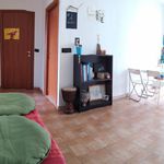 Affitto 2 camera appartamento in Torino