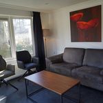 Rent 3 bedroom house in Arnhem