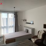 Rent 1 bedroom apartment of 25 m² in Havirov