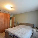 Rent 1 bedroom apartment in Zele