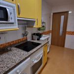 Alquilar 1 dormitorio apartamento en Oviedo