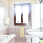 Rent 2 bedroom apartment of 60 m² in Piove di Sacco