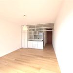 Rent 1 bedroom apartment of 30 m² in Lugano